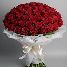 Букет 101 Красная роза Блэк Мэджик в Приморске Ленинградской области