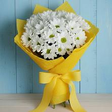 Букет цветов из:  Хризантемы #REPLACE_PRED# Приморске Ленинградской области