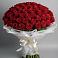 Букет 101 Красная роза Блэк Мэджик в Приморске Ленинградской области