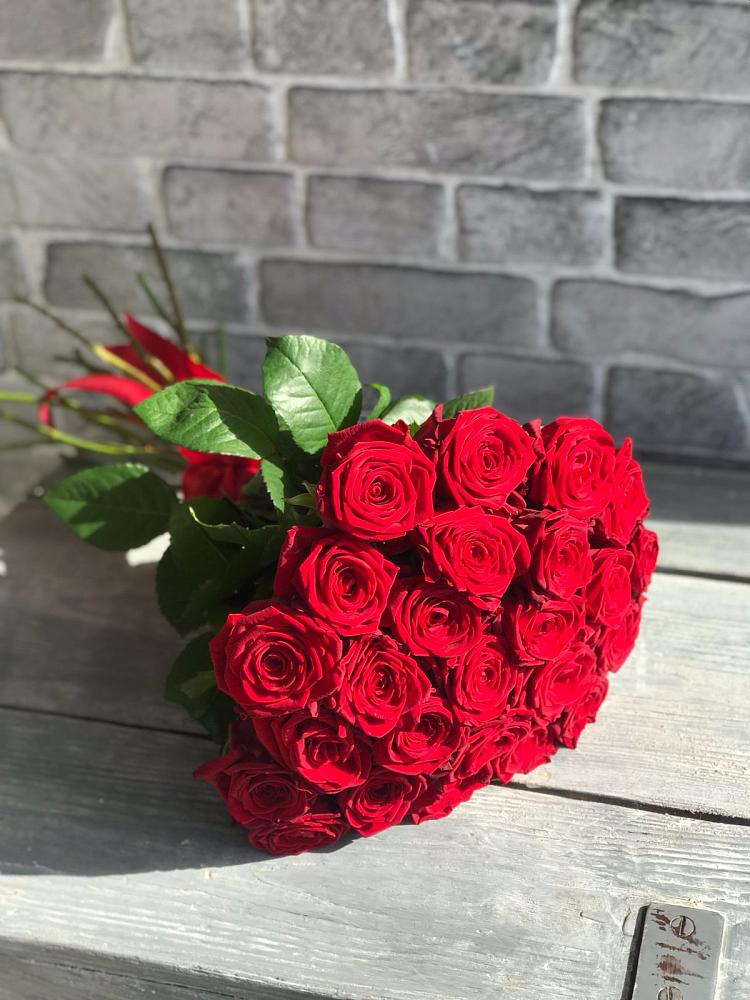 Букет Красные розы Фридом в Приморске Ленинградской области