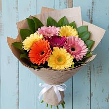 Букет цветов из:  Герберы в Приморске Ленинградской области