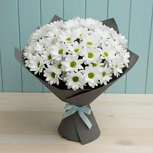 Букет цветов из:  Хризантемы в Приморске Ленинградской области
