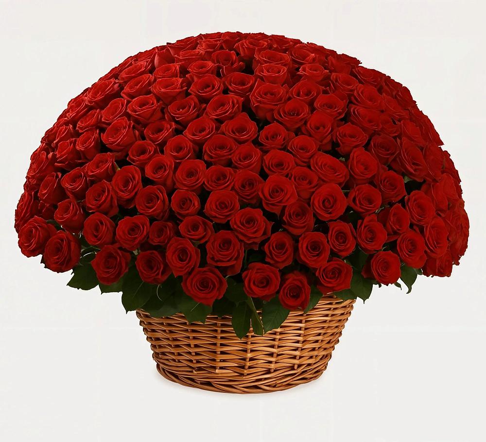 Премиум букет из: Розы в Приморске Ленинградской области