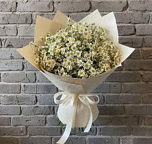 Букет цветов из:  Ромашки в Приморске Ленинградской области