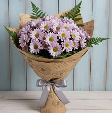 Букет цветов из:  Хризантемы в Приморске Ленинградской области