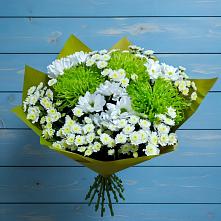 Букет цветов из:  Хризантемы в Приморске Ленинградской области