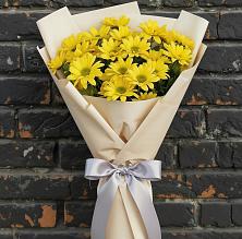 Букет цветов из:  Хризантемы в Приморске Ленинградской области