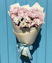 Букет цветов из:  Хризантемы #REPLACE_PRED# Приморске Ленинградской области