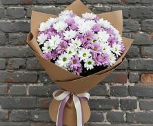 Букет цветов из:  Хризантемы в Приморске Ленинградской области