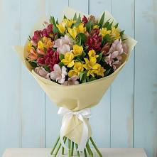 Букет цветов из:  Альстромерии в Приморске Ленинградской области