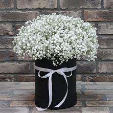 Цветочная композиция из Гипсофила в шляпной коробке #REPLACE_PRED# Приморске Ленинградской области