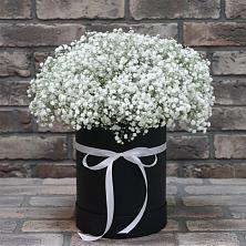 Цветочная композиция из Гипсофила в шляпной коробке в Приморске Ленинградской области