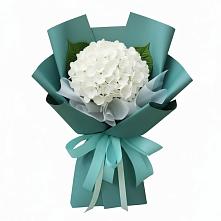 Букет цветов из:  Гортензия #REPLACE_PRED# Приморске Ленинградской области